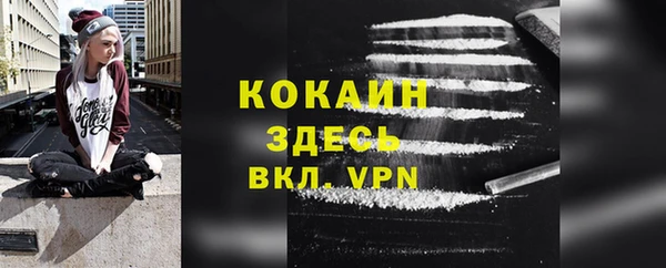 сатива Шадринск