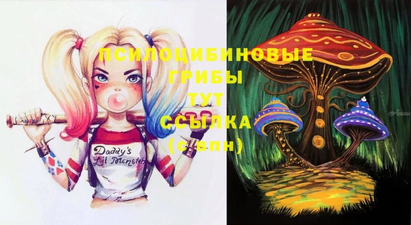 ПСИЛОЦИБИНОВЫЕ ГРИБЫ Покровск