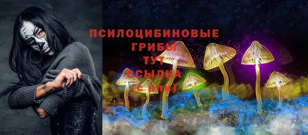 apvp Покачи