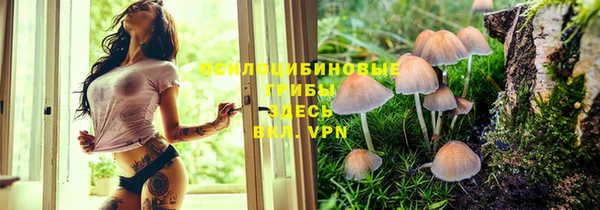 apvp Покачи