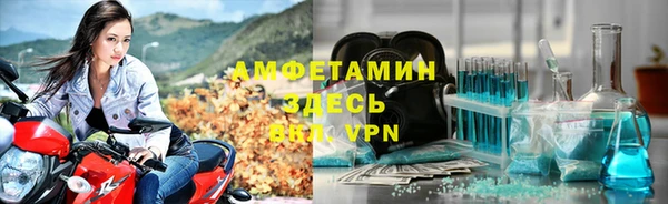 трава Шарыпово