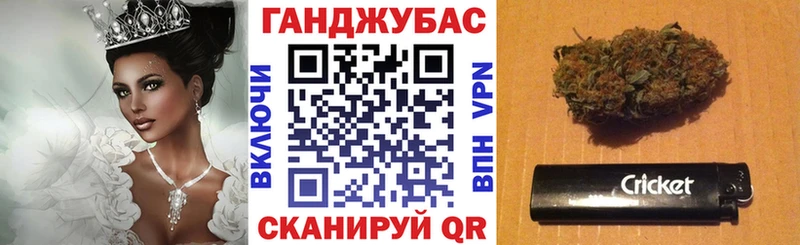 закладки  Алагир  Каннабис сатива 